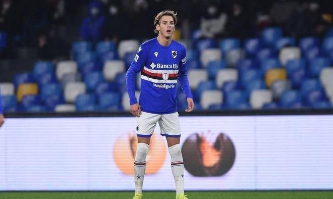 坦帕湾光芒 坦帕湾光芒