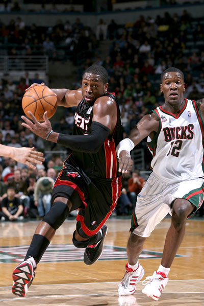 能量传递链 能量传递链